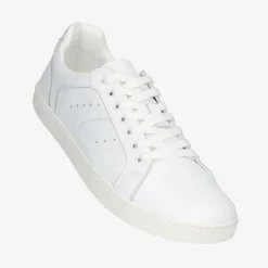 ® Universe Pure Men|Groundies Sale